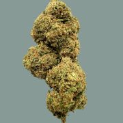 venda de flores CBD White Widow produtos de cannabis comprar ao melhor preço flores CBD HHC CBG melhor qualidade legais em Portugal envio em 24 horas