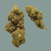 venda de flores CBD White Widow produtos de cannabis comprar ao melhor preço flores CBD HHC CBG melhor qualidade legais em Portugal envio em 24 horas 01
