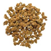 venda flore Small Bud Strawberry sem intermediários comprar as melhores flores HHC CBD ao melhor preço envio grátis em 24 horas em compras superiores a 50€