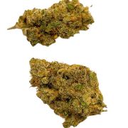 venda flores cânhamo CBD HHC dos melhores produtores Europeus de produtos cannabis sem intermediários onde podes comprar Flores Relax CBD cultivo Indoor