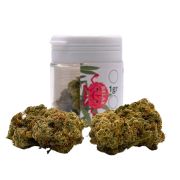 venda flores cânhamo CBD HHC dos melhores produtores Europeus de produtos cannabis sem intermediários onde podes comprar flores Relax CBD cultivo Indoor