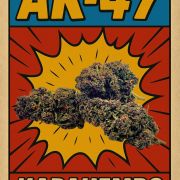 Flor Ak-47 Best Seller