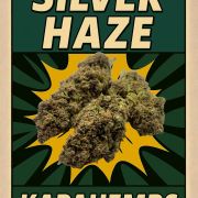venda de flores CBD HHC CBG dos melhores produtores Europeus de cannabis sem intermediários onde podes comprar flores Silver Haze CBD de elevada qualidade
