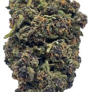 Apresentamos a nossa flor AK-47, sendo uma das flores mais cobiçadas pelos nossos clientes, levamos algum tempo a encontrar aquela que preenchesse os nossos requisitos.