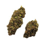 venda de flores CBD HHC CBG dos melhores produtores Europeus de cannabis sem intermediários onde podes comprar flores Silver Haze CBD de elevada qualidade